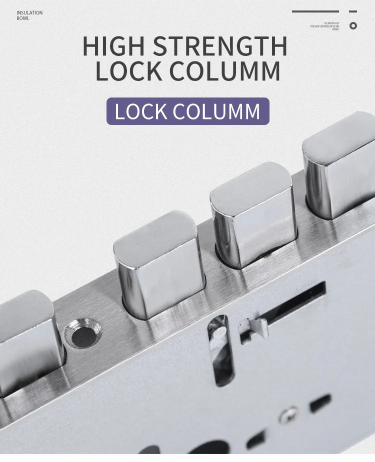 Factory Price 6068 Mortise for Smart Door Lock Premium Quality Accept OEM/ODM Match 99% Doors