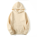 Blank Oversized Streetwear Custom logo Pullover Hoodie Men's 100% Cotton Thick Heavy High Quality
