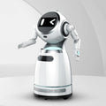 Factory Direct Sale Entertaining Energetic Entertaining Intelligent Robot Exhibition Hall Dancing Reception Robot