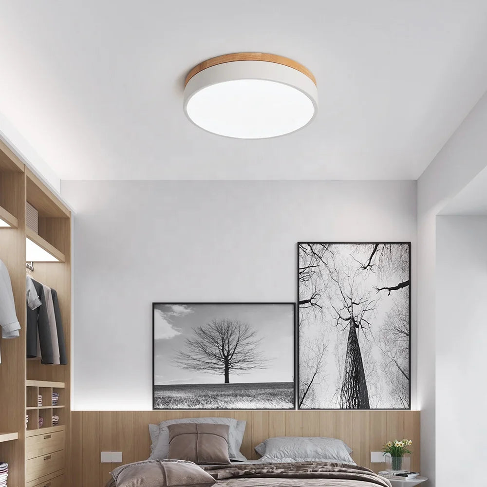 30cm Circle 30W Surface Mounted Lamparas Ceiling Led Light Lamp for Dining Room