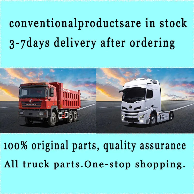 DZ14251340047 DZ14251340048 New Electric Door Lock Body Left and Right for Shacman Truck Parts