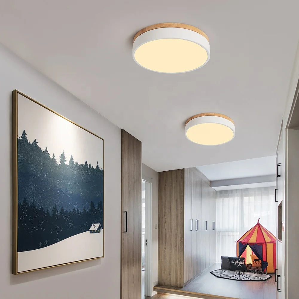 30cm Circle 30W Surface Mounted Lamparas Ceiling Led Light Lamp for Dining Room