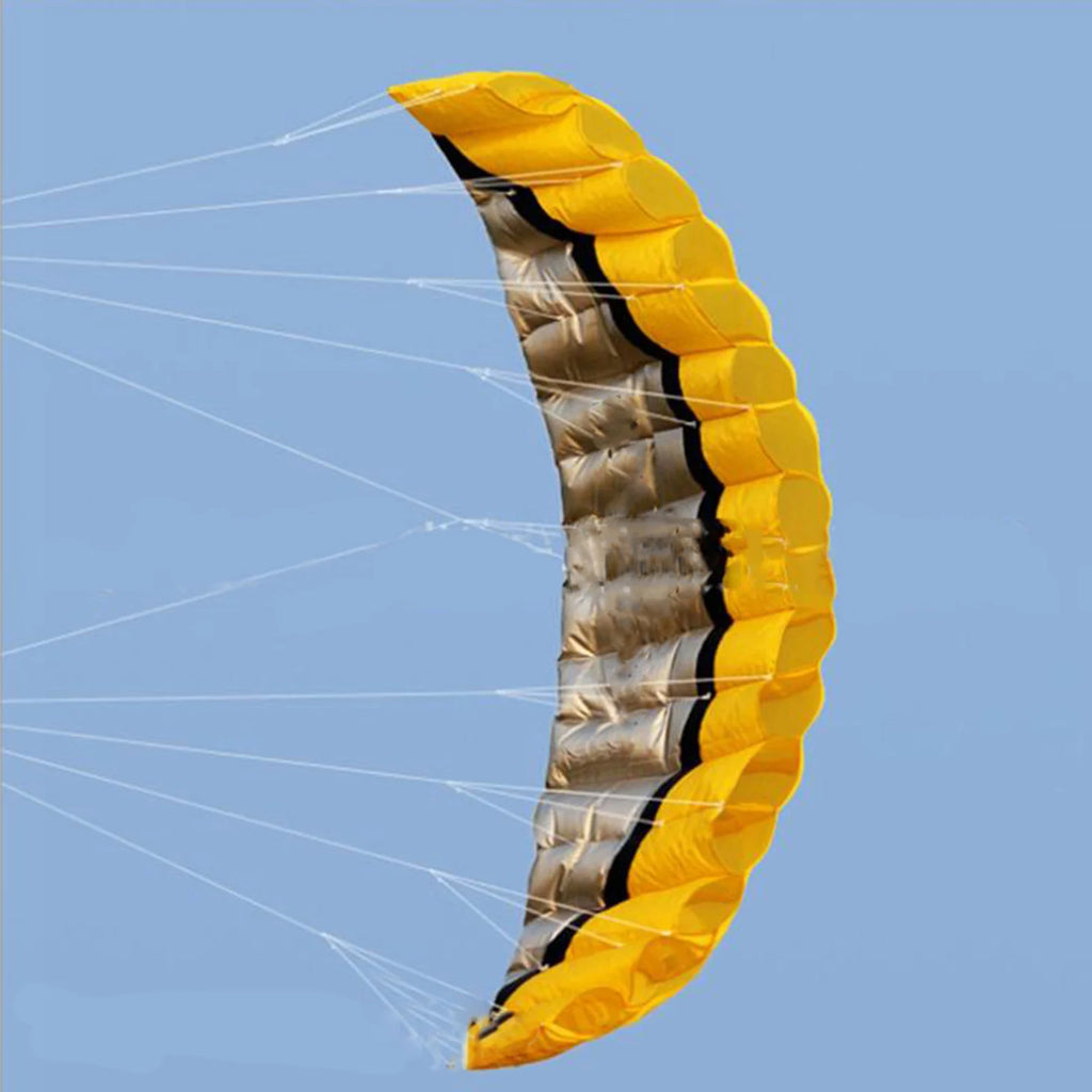 Adults Kitesurfing Trainer Kite Wing, Durable Beach Summer Double Lines Trick Kites , Outside Stunt Toys Sport Flying Wing