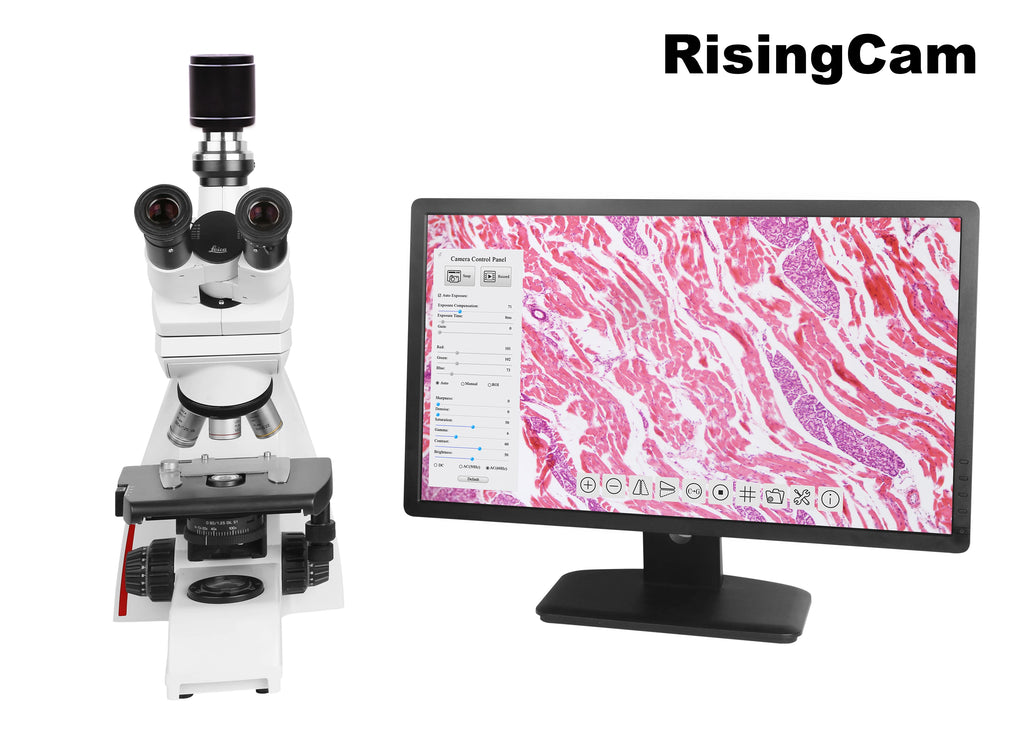 60fps 1080P imx30 sensor HDMI-compatible digital microscope camera with C mount for industrial biological microscope camera