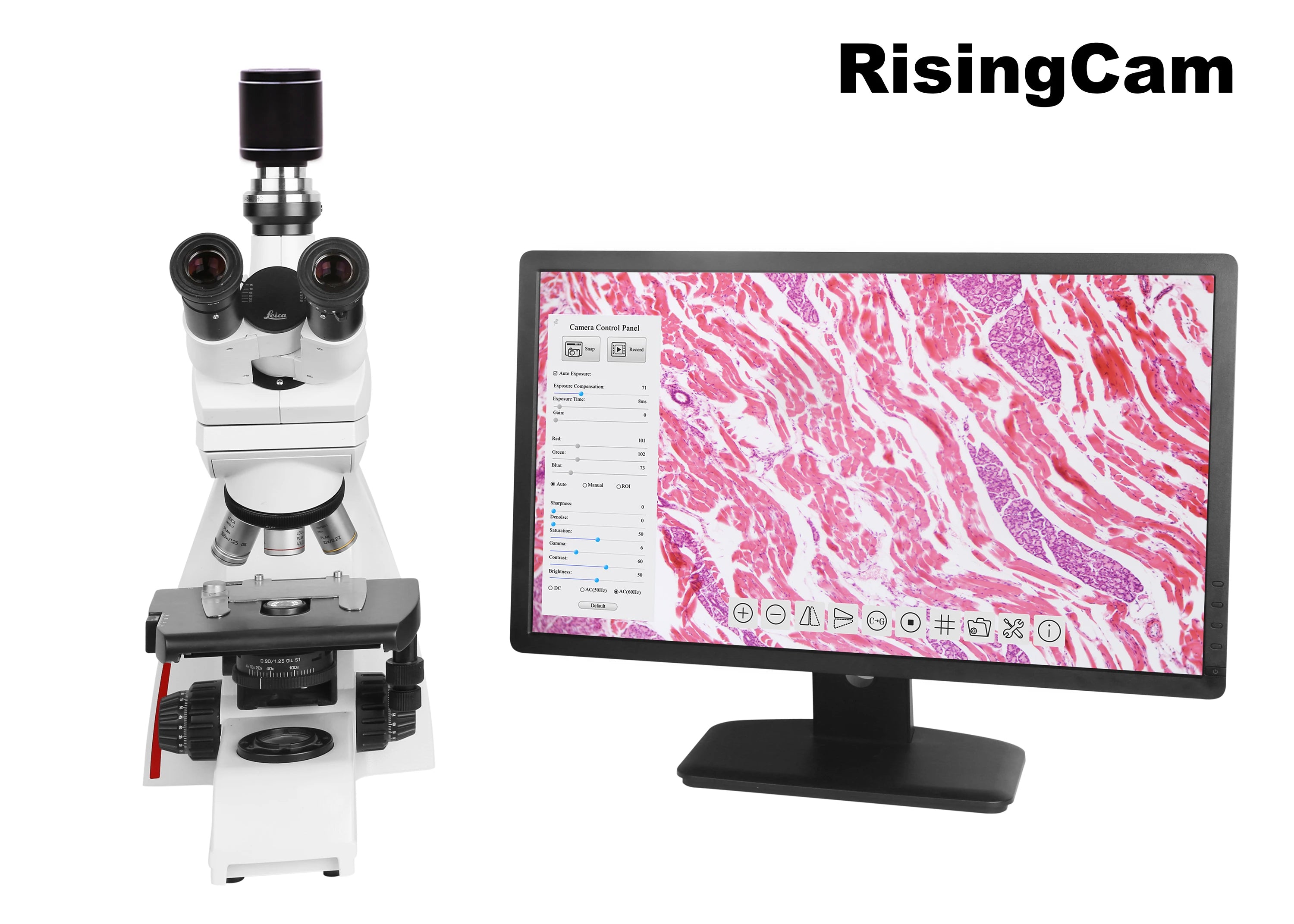 60fps 1080P imx30 sensor HDMI-compatible digital microscope camera with C mount for industrial biological microscope camera
