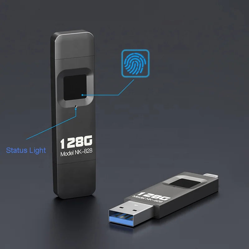 2 in 1 Fingerprint Encrypted USB Flash Drive 64GB 128GB 256GB 512GB Pen Drive Fingerprint for iPhone iPad Windows