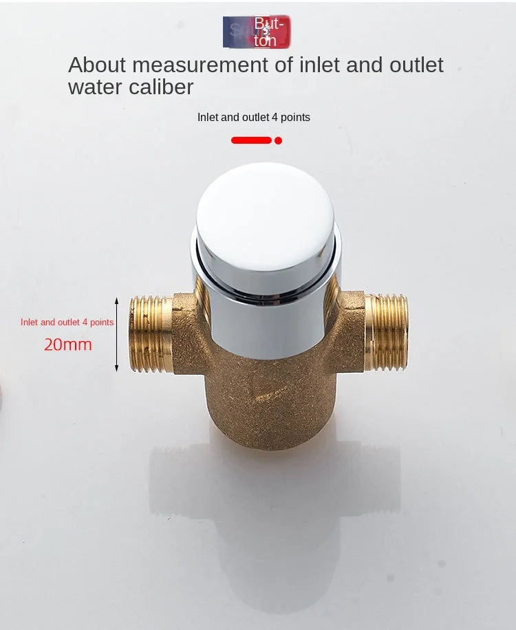 Swimming Pool Bathroom Concealed Single-cold Delayed Shower Tap Outdoor Beach Surface-mounted Push-button Delayed Shower Switch
