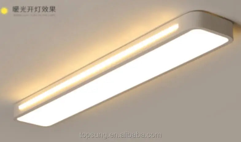 Modern Flush Ceiling Lamps 3000K/4500K/6000K Chandelier Ceiling Light Downlights for Living Room