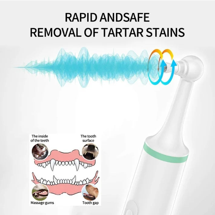 Dropshipping Dog Pet Electric Toothbrush Set With 4 Brush Heads Ultrasonic Tooth Stains Calculus Remover Tooth Cleaner