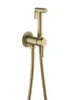 Toilet Flushing Partner Wall Mounted Brass Hot and Cold Bidet Spray Gun Pressurized Gold Body Cleansing Flushing Ass SF1357