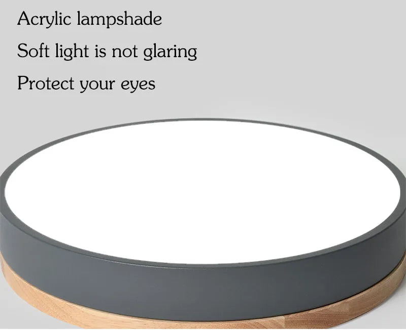 LED Ceiling Lamp Indoor 24W 36W 48W for Living Room Bedroom Corridor Lighting Cold/ Warm White Natural Light Fixtures