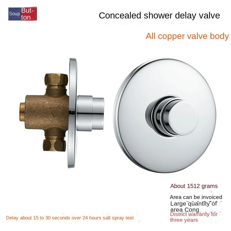 Swimming Pool Bathroom Concealed Single-cold Delayed Shower Tap Outdoor Beach Surface-mounted Push-button Delayed Shower Switch