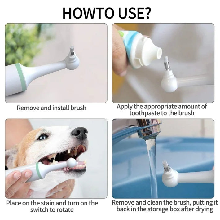 Dropshipping Dog Pet Electric Toothbrush Set With 4 Brush Heads Ultrasonic Tooth Stains Calculus Remover Tooth Cleaner