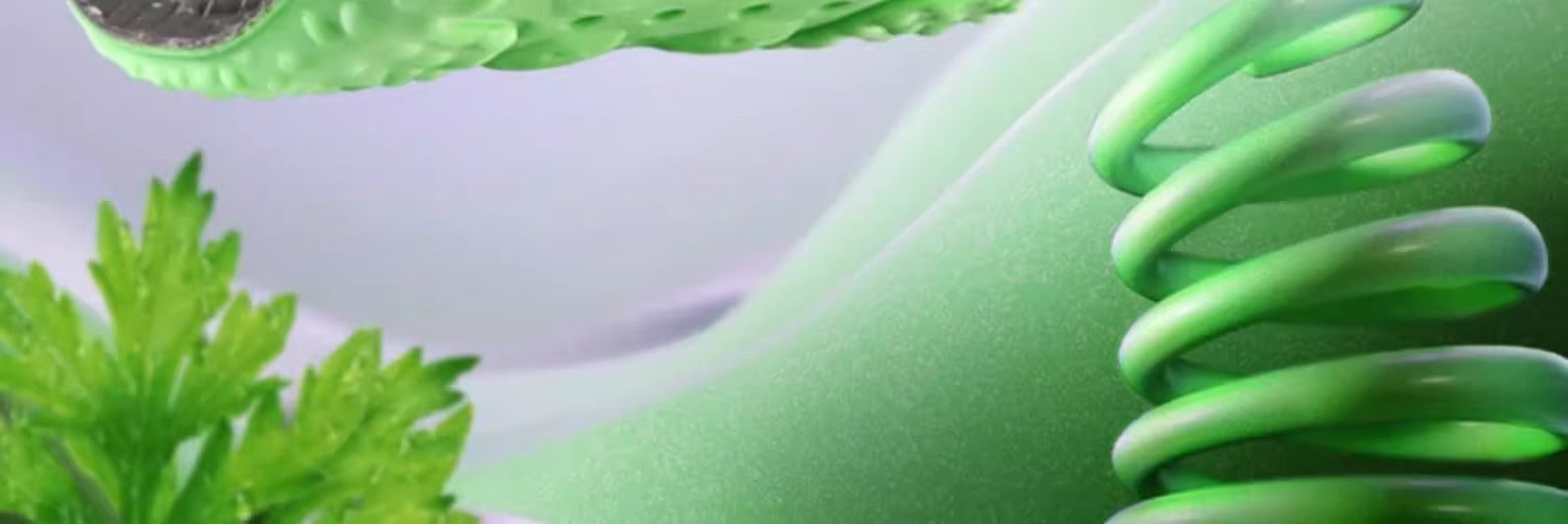 Manufacturer Wholesale Zoom Sports Insoles for Men Boost Popcorn Military Training Shock-Absorbing Breathable High-Elastic Insoles