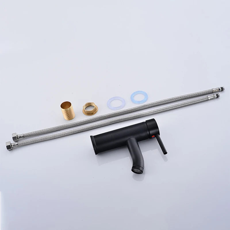 Black Basin Faucet Stainless Steel Paint Faucet Bathroom Single Handle Basin Faucets Blacked Single Hole Hot Cold Mixer Tap