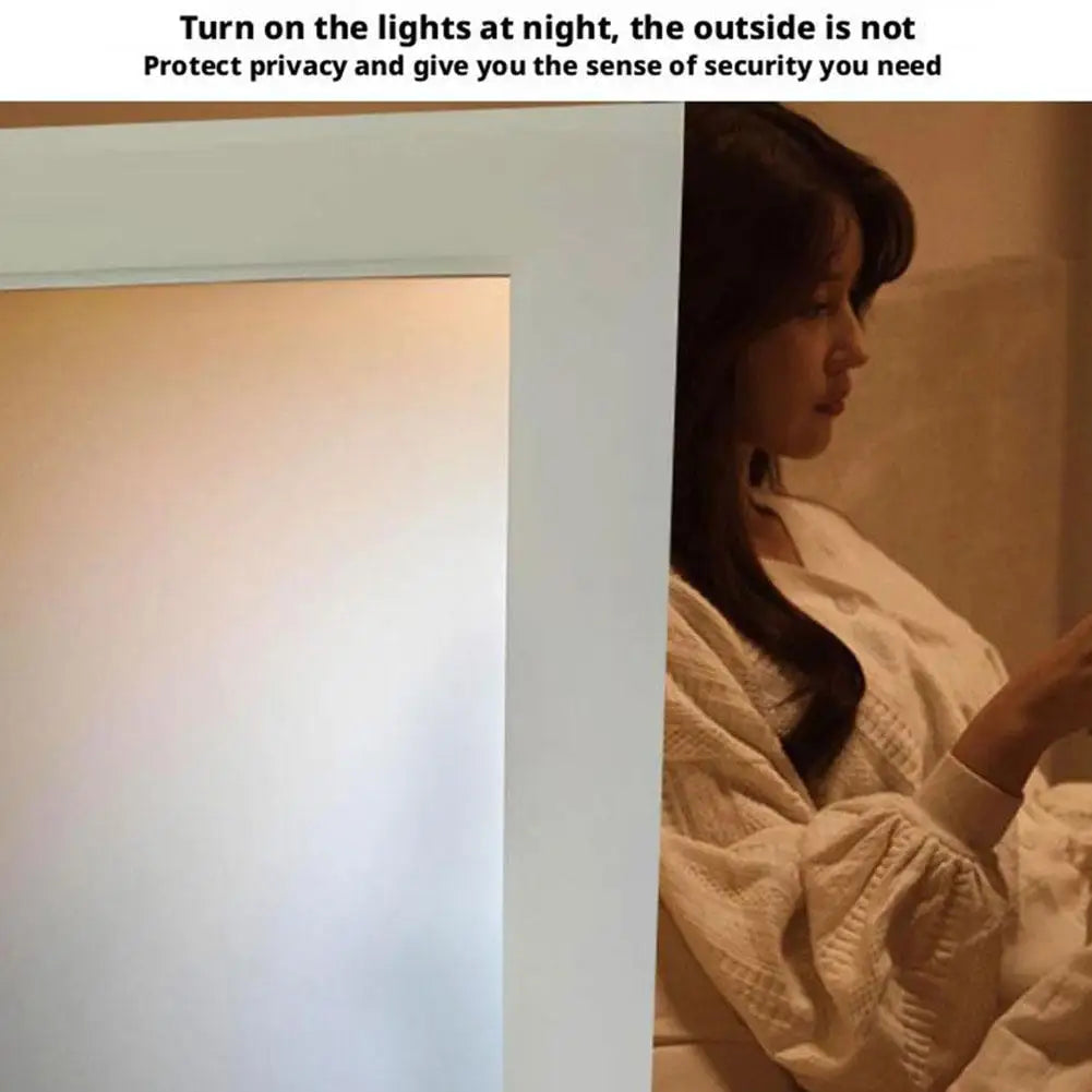 Frosted Glass Paint Frosted Paint Privacy Protection Bathroom Room Matte Anti Peeping Paint Coating Window Blackout Art Paint