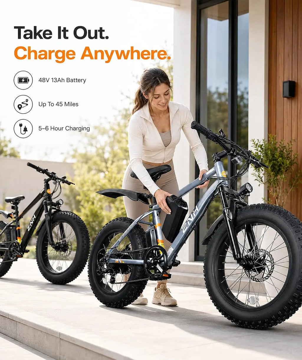 Electric Bike for Adults, 1000W Peak Motor 25Mph 65 Miles Fat Tire Ebike with 48V 15Ah Removable Battery, 20"/24", Customized