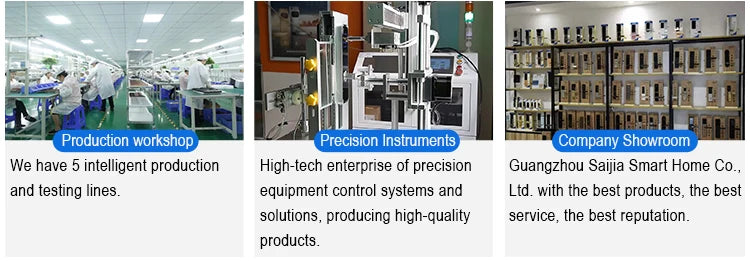 3D Face Fingerprint Recognition Digital Lock Waterproof WiFi Smart App-controlled Keyless Door Aluminum Alloy Electronic Door