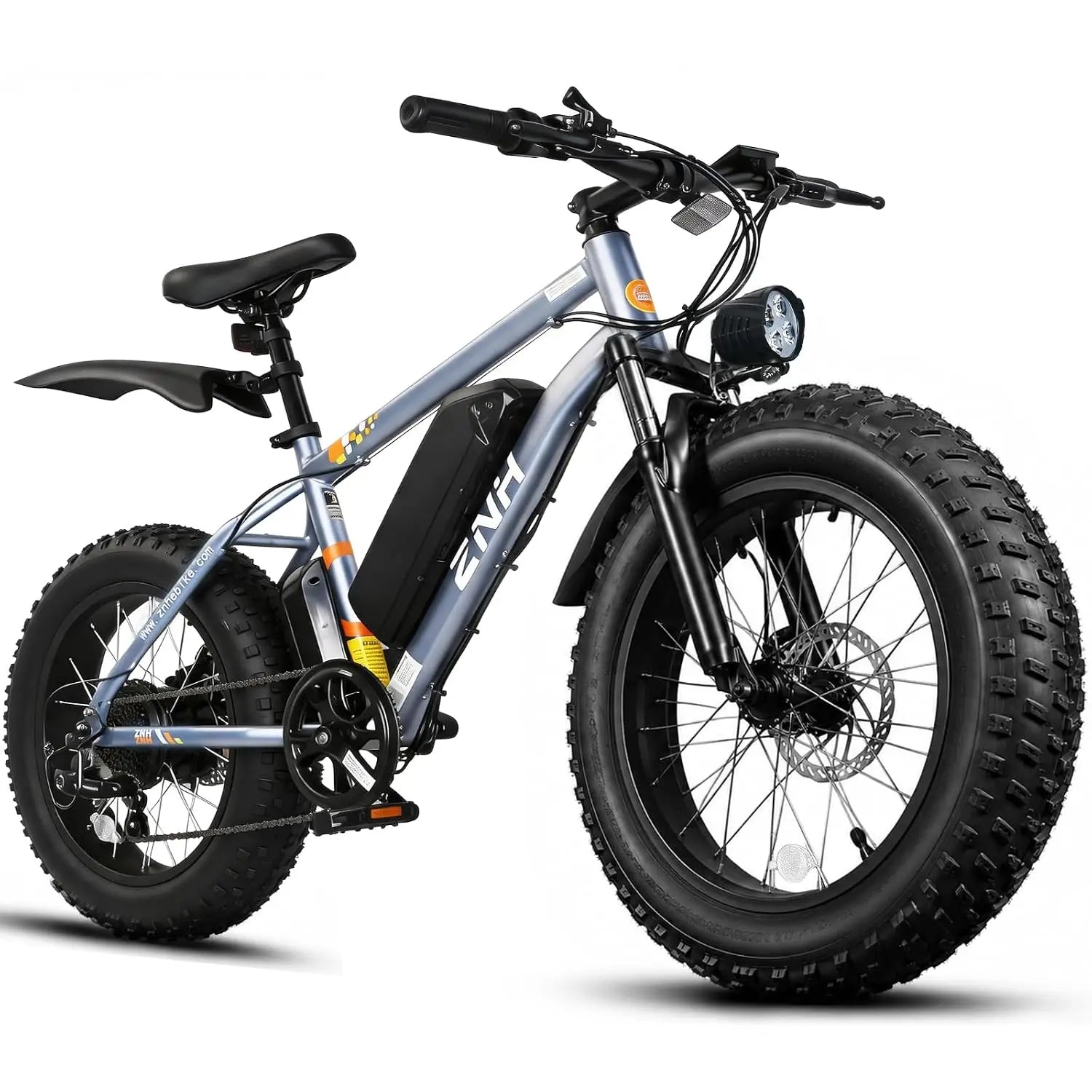 Electric Bike for Adults, 1000W Peak Motor 25Mph 65 Miles Fat Tire Ebike with 48V 15Ah Removable Battery, 20"/24", Customized