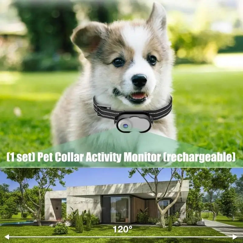 UHD 120° Wide Pet Neck Camera For Adventure Recording Builts In Stabilization Technology