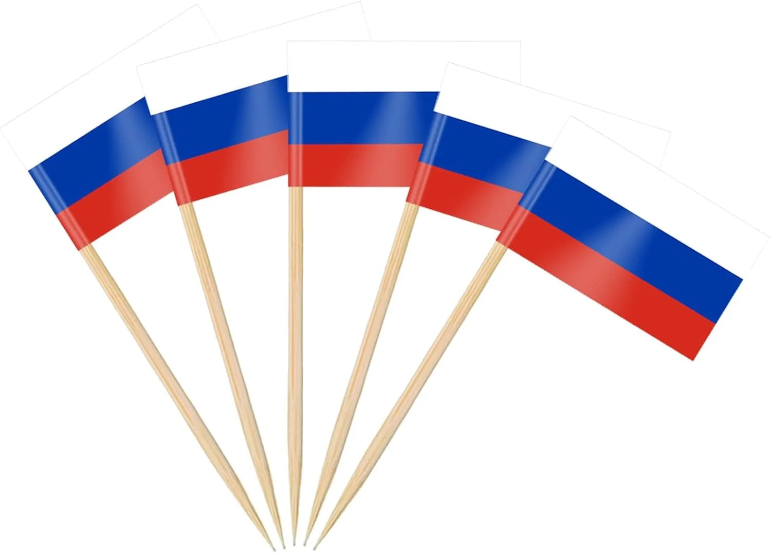 100 Pcs 10 Countries Toothpick Flags, Mini Flag Cupcake Toppers,Different Countries Flags Cocktail Picks for Party Decorations