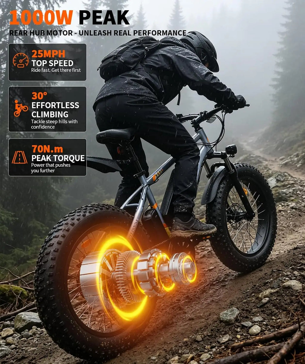 Electric Bike for Adults, 1000W Peak Motor 25Mph 65 Miles Fat Tire Ebike with 48V 15Ah Removable Battery, 20"/24", Customized