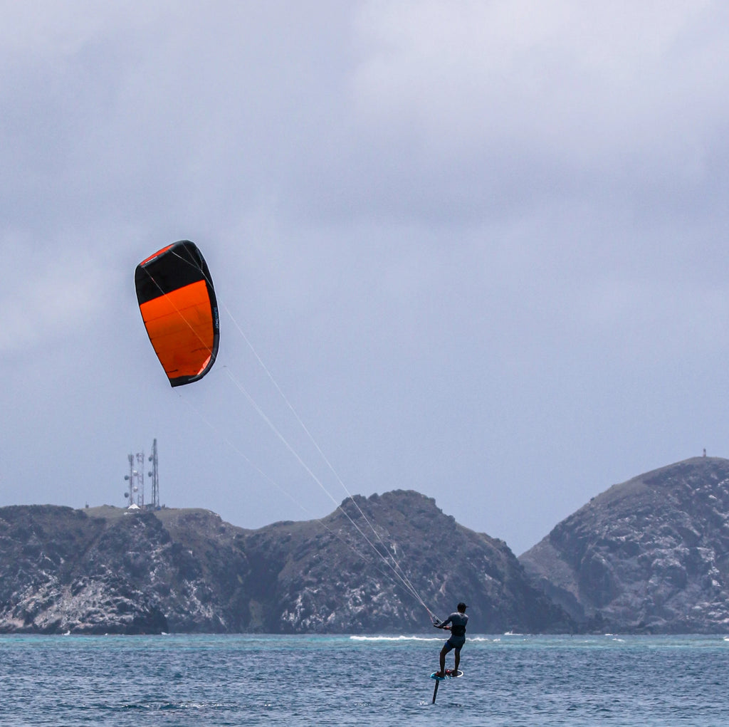 SP1606 FREE FLIGHT Salesdeal New Outdoor Watersports Surfing Kites 10m-14m Kite for Kiteboarding and Kitesurfing