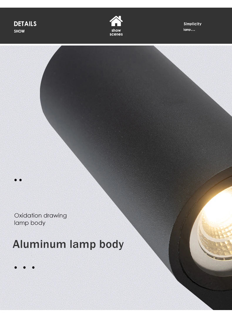 Tuya Smart LED Wall Light Up and Down RGB CCT Outdoor Bluetooth/WIFI APP Control GU10 Bulb Exterior Garden Porch Sconces Lamp