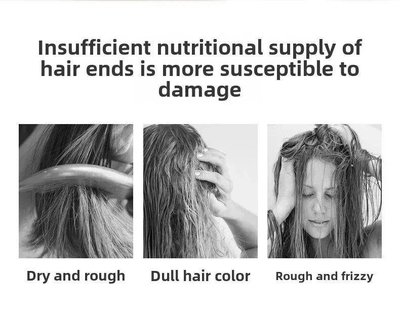 Boar Bristle Hair Comb Hollow Detangling Hair Brush Women Scalp Massage Brush Curly Hairbrush Salon Hairdressing Styling Tools