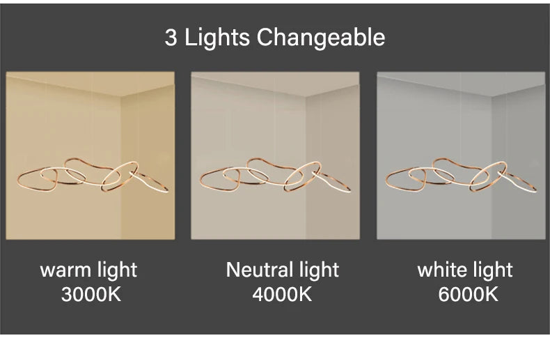 Postmodern Luxury led hanging lamp Minimalist art Personality Chandelier for Living Dining room Iron LED ring chandelier Light