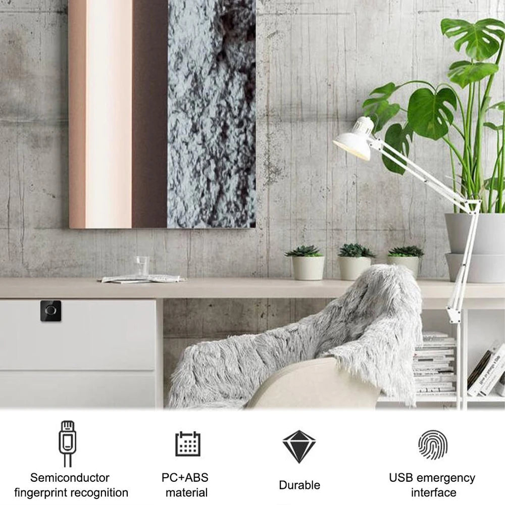 Smart Home Biometric Fingerprint Lock Hidden Drawer Electronic Lock Privacy File Storage Keyless Residential Security Protection