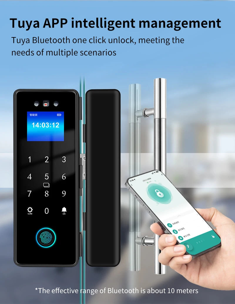 3D Face Tuya Wifi Electronic Smart Glass Door Lock With Biometric Fingerprint/RFID Card /Password Unlock/USB Emergency Charge