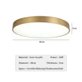 Modern LED Aisle Ceiling Light Lamps For Bedroom Corridor Garage Cloakroom Balcony Indoor Lighting Fixtures Simple Golden Round