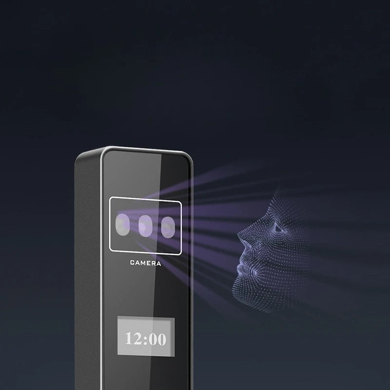 Automatic Password Fingerprint Facial Recognition Smart Lock Broken Bridge Aluminum Fingerprint Lock Sliding Door Password Lock