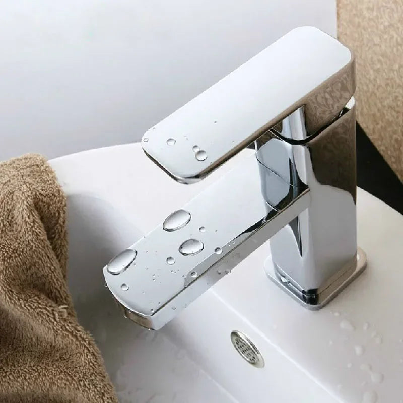 Stainless Steel Basin Faucets Single Hole Bathroom Faucet Single Handle Mixing Tap Toilet Hot and Cold Countertop Mixer Tap
