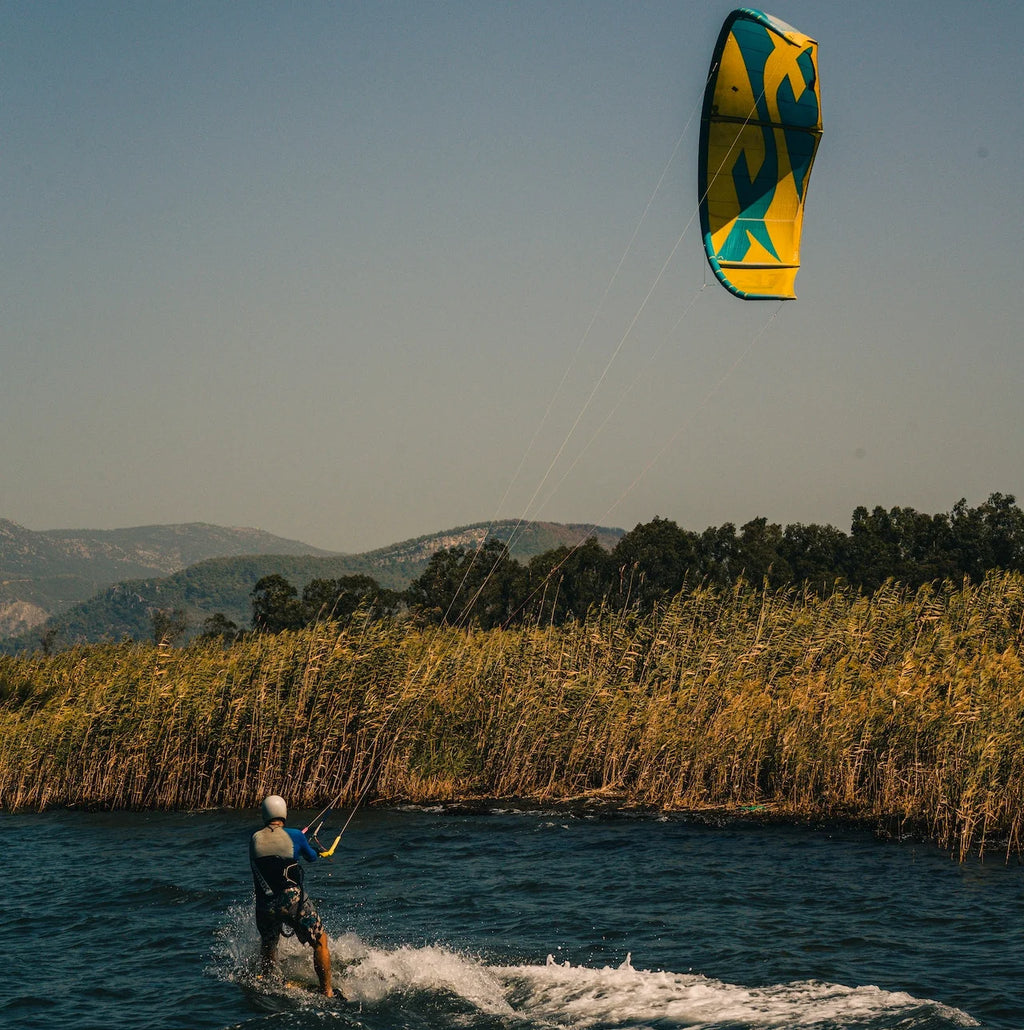 SP1606 FREE FLIGHT Salesdeal New Outdoor Watersports Surfing Kites 10m-14m Kite for Kiteboarding and Kitesurfing