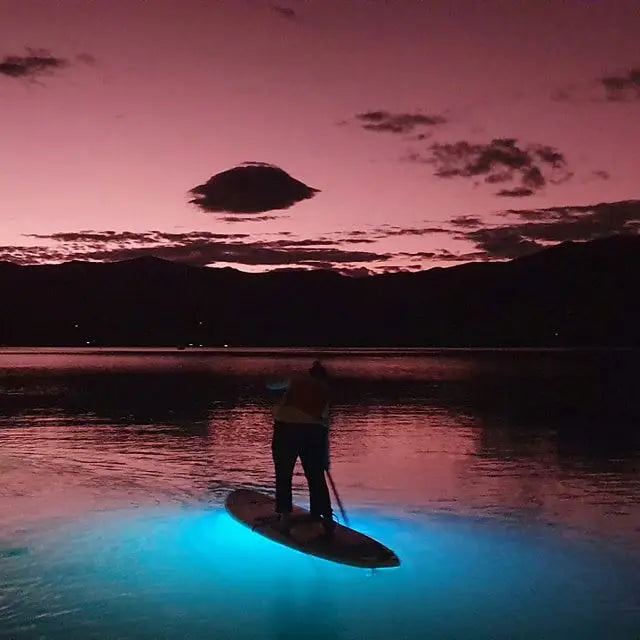 LED Light Standup Paddle Board with LED Lights / LED Light Surfboard / SUP Board