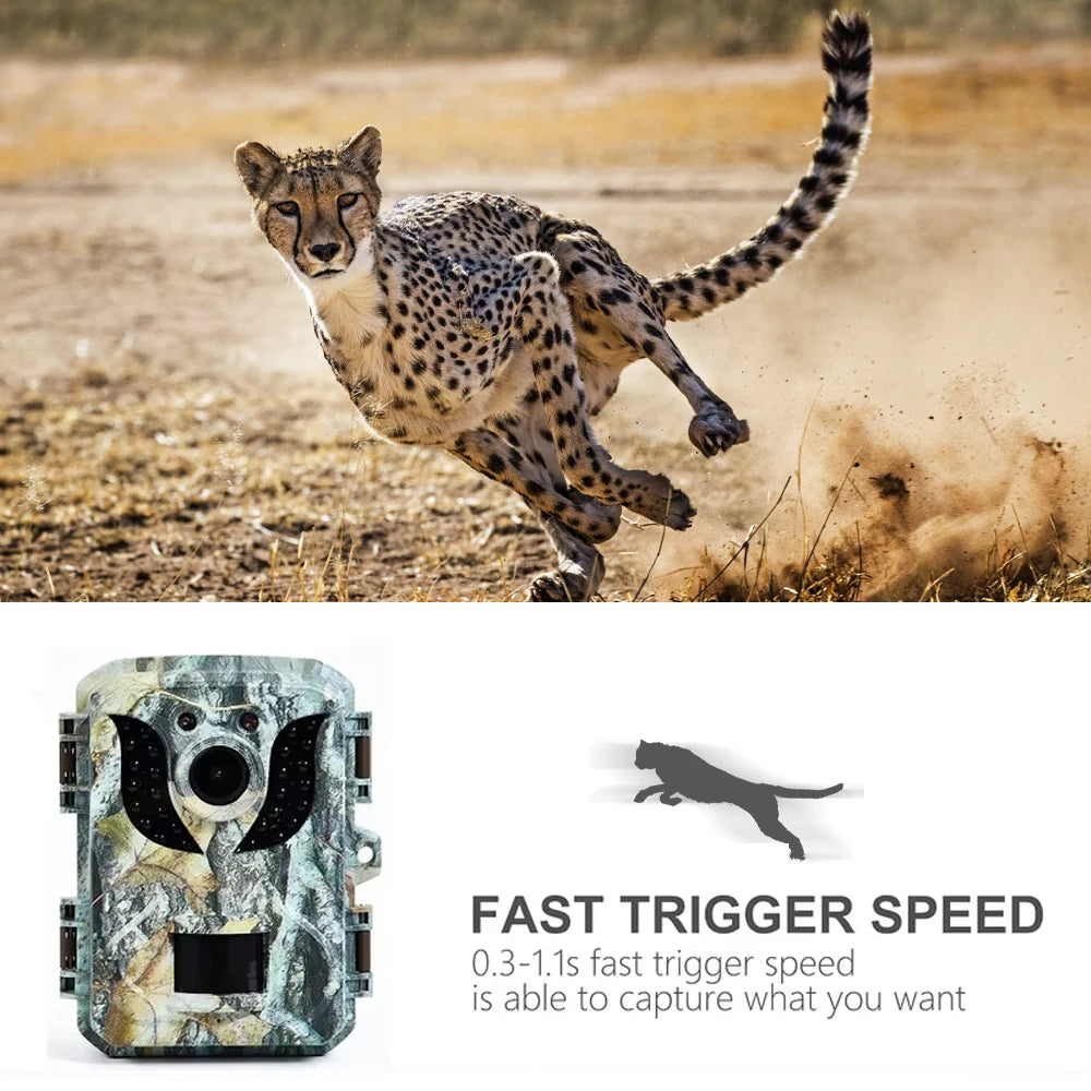 Magecam Hunting Camera 16MP 1080P HD Trail Camera Infrared Night Vision Waterproof Motion Activated Photo Animal Observation Cam