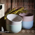 4 PCS/Set Wheat Straw Bowl Fruit Vegetable Dessert Rice Bowl Safe Household Tableware Kitchen Dining