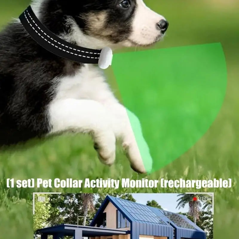 UHD 120° Wide Pet Neck Camera For Adventure Recording Builts In Stabilization Technology