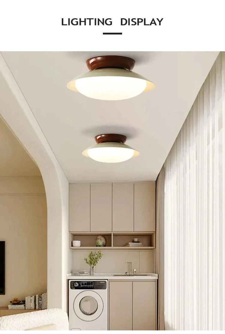Modern New LED Ceiling Lamp Indoor Home Living Room Dining Room Study Bedroom Lighting