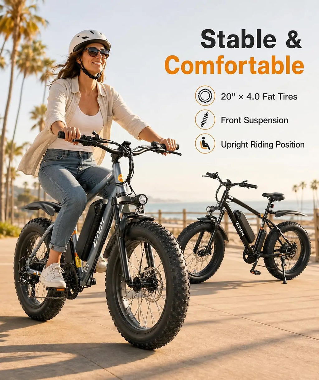Electric Bike for Adults, 1000W Peak Motor 25Mph 65 Miles Fat Tire Ebike with 48V 15Ah Removable Battery, 20"/24", Customized