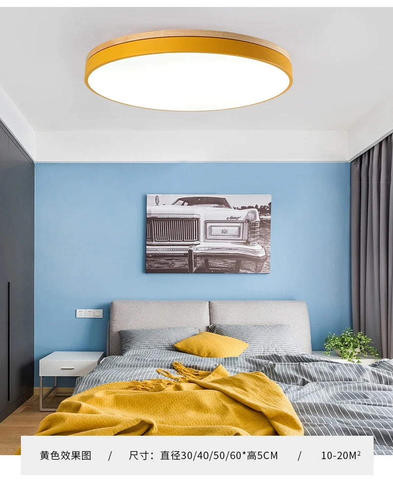 LED Ceiling Lamp Indoor 24W 36W 48W for Living Room Bedroom Corridor Lighting Cold/ Warm White Natural Light Fixtures