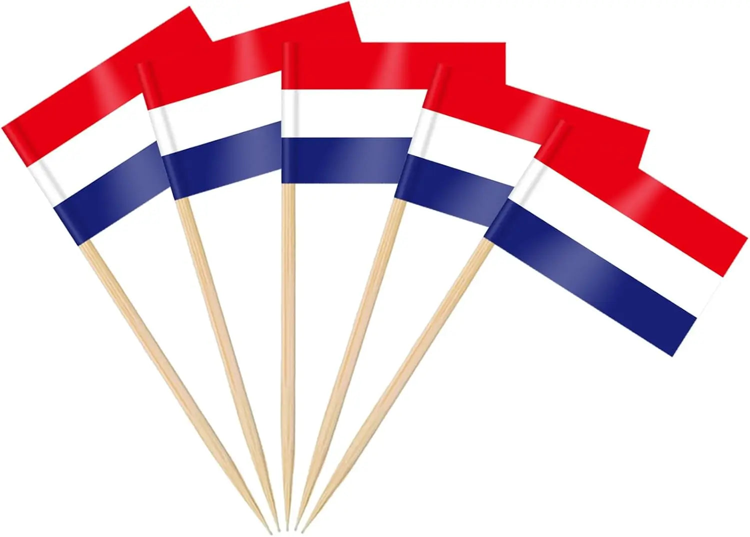 100 Pcs 10 Countries Toothpick Flags, Mini Flag Cupcake Toppers,Different Countries Flags Cocktail Picks for Party Decorations