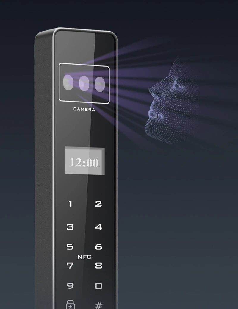 Automatic Password Fingerprint Facial Recognition Smart Lock Broken Bridge Aluminum Fingerprint Lock Sliding Door Password Lock