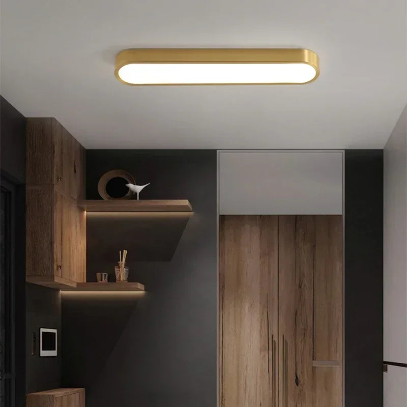 Nordic LED Ceiling Lamp Indoor Lighting Home Decoration For Living Room Bedroom Dining Table Cloakroom Corridor Cloakroom Light