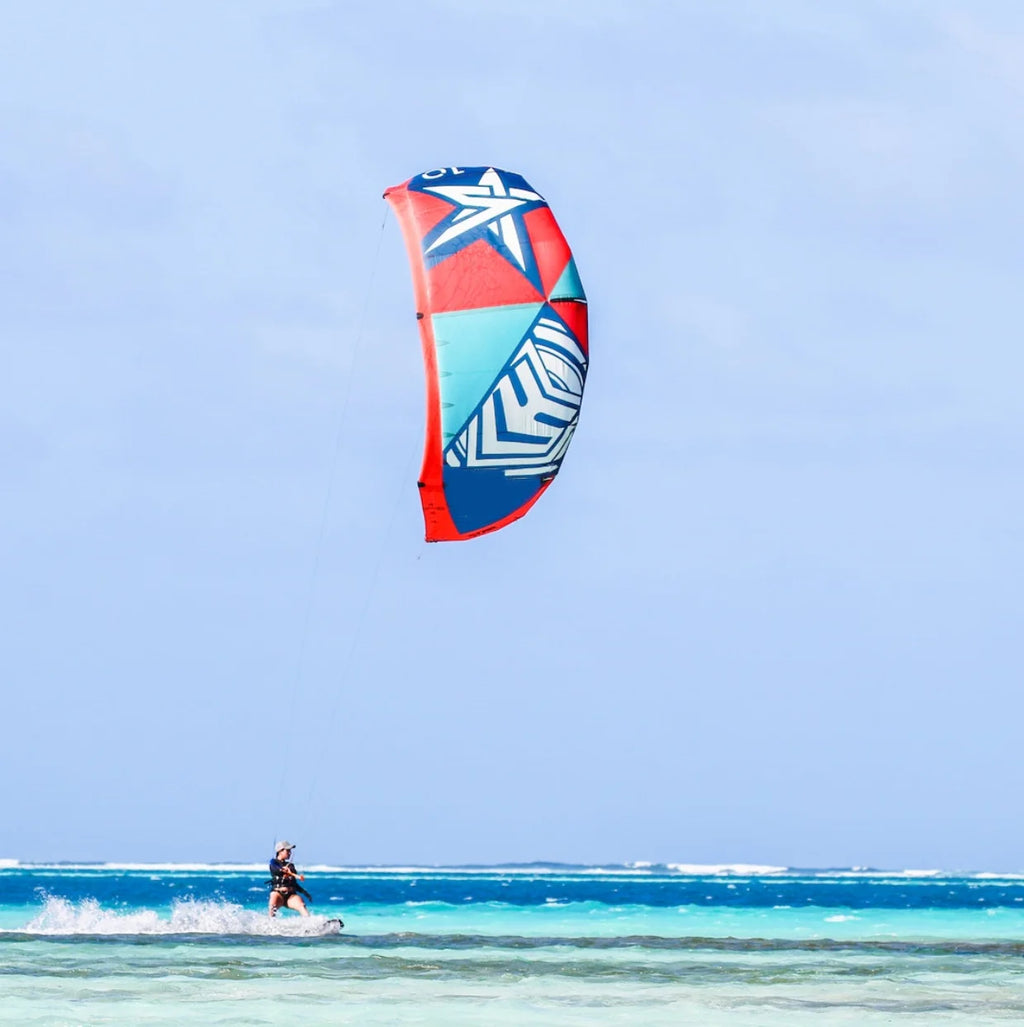 SP1606 FREE FLIGHT Salesdeal New Outdoor Watersports Surfing Kites 10m-14m Kite for Kiteboarding and Kitesurfing