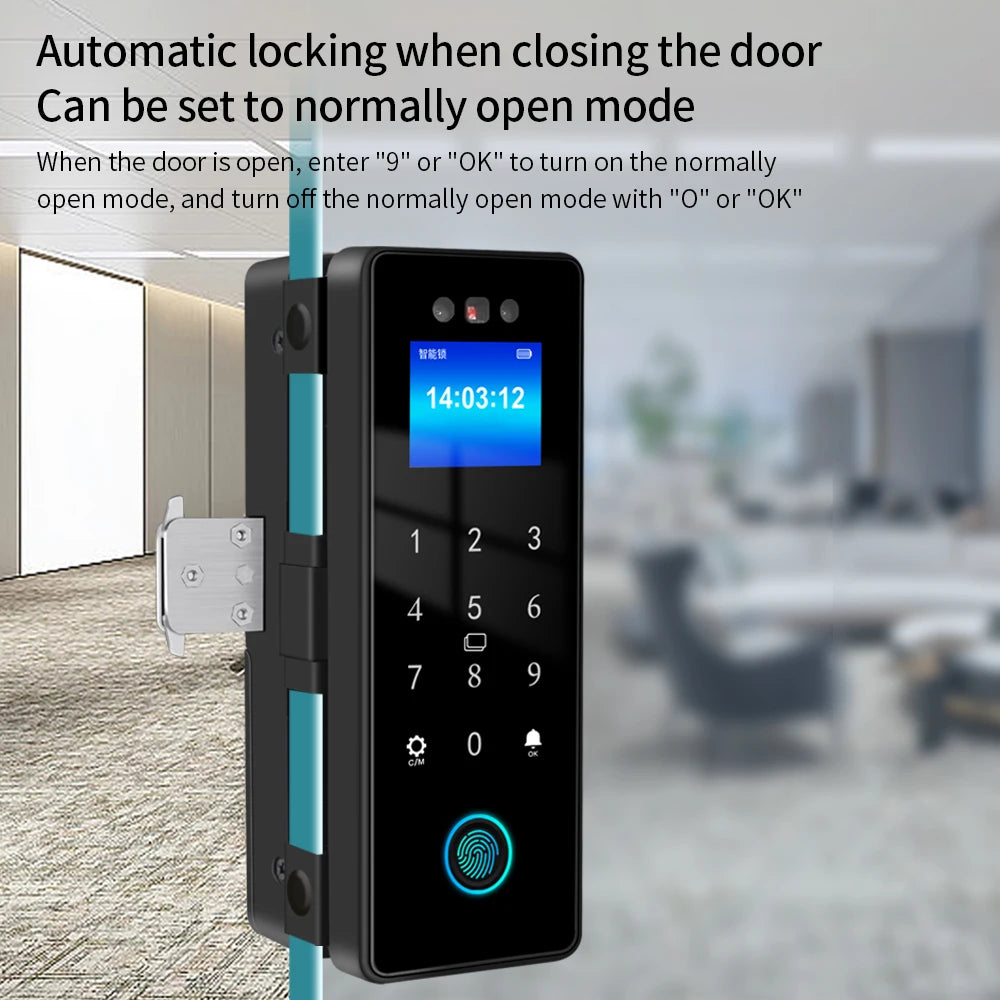 3D Face Tuya Wifi Electronic Smart Glass Door Lock With Biometric Fingerprint/RFID Card /Password Unlock/USB Emergency Charge