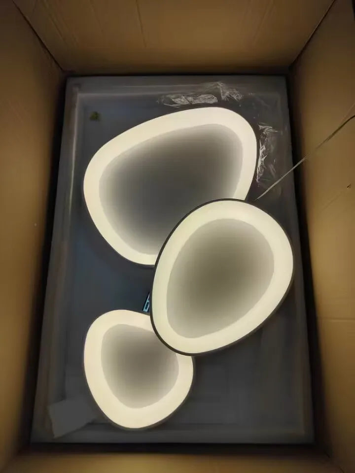 Modern Round LED Ceiling Light with Adjustable Brightness for Living Room Bedroom Dining Room Home Decor Lusters Luminaires