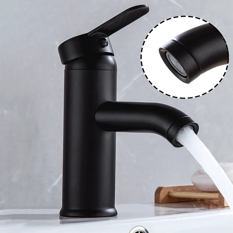 Black Basin Faucet Stainless Steel Paint Faucet Bathroom Single Handle Basin Faucets Blacked Single Hole Hot Cold Mixer Tap